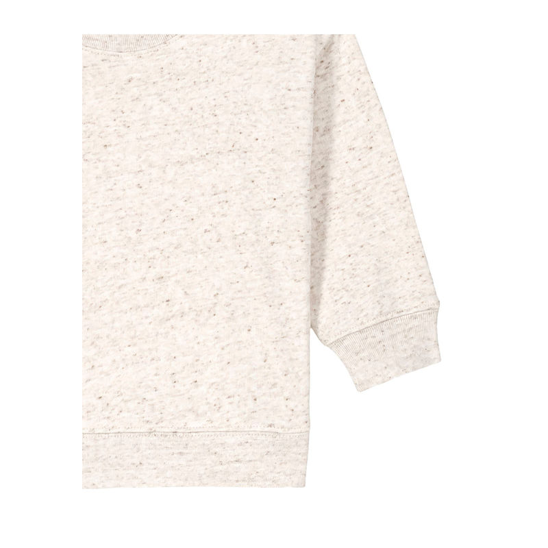 Baby Changer babies' sweatshirt