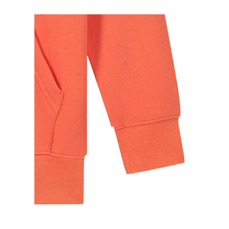 Mini Cruiser 2.0 kids' hoodie 