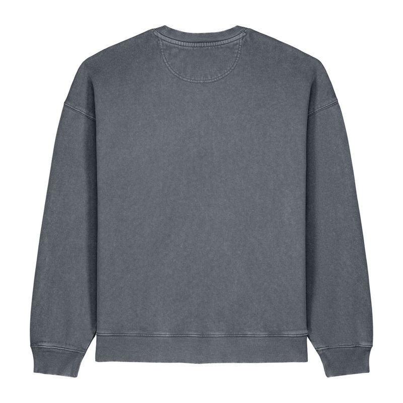 Radder 2.0 Vintage oversized sweatshirt