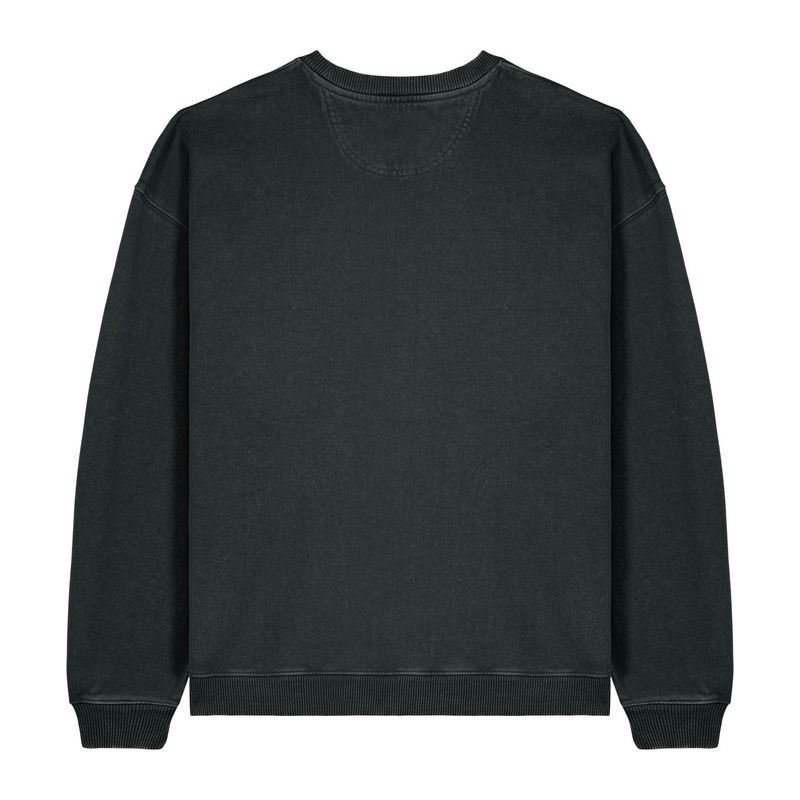 Radder 2.0 Vintage oversized sweatshirt