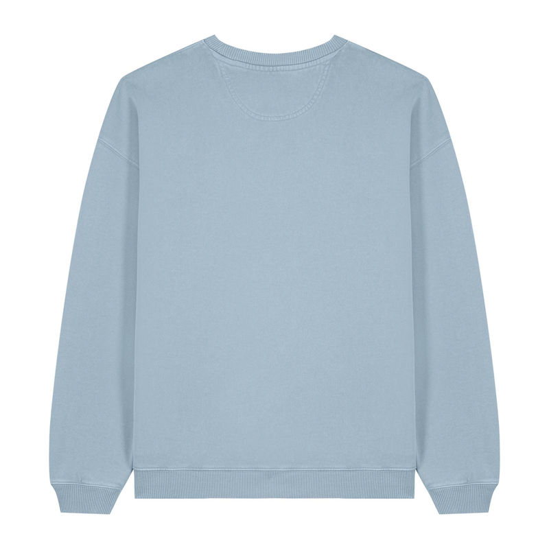Radder 2.0 Vintage oversized sweatshirt