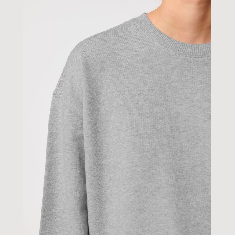 Ledger Dry unisex boxy sweatshirt