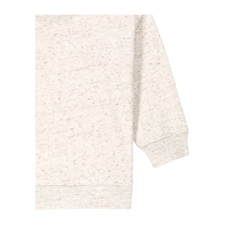 Baby Changer babies' sweatshirt